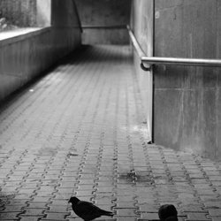 2025-05-17 Sofia/DSC_1838.JPG